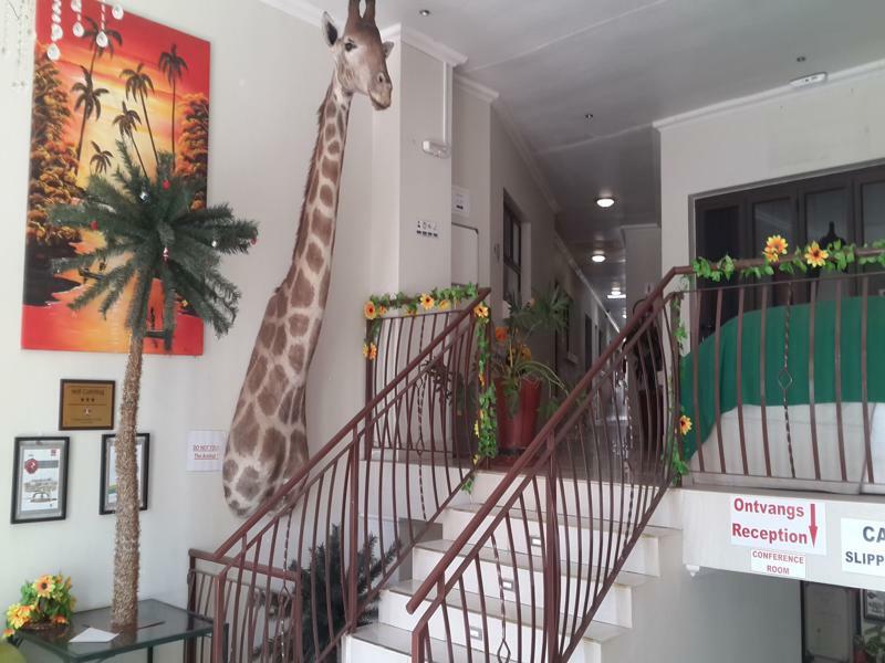 Palm Valley Inn And Day Spa ฮาร์ทบีสบูร์ท ภายนอก รูปภาพ